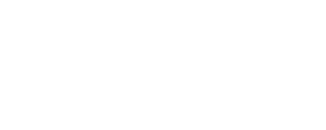 The Elovators